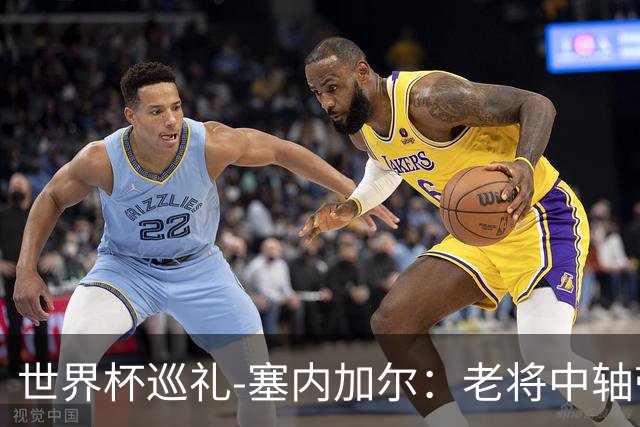 世界杯巡礼-塞内加尔：老将中轴带来安全感，非洲顶流前景可期！